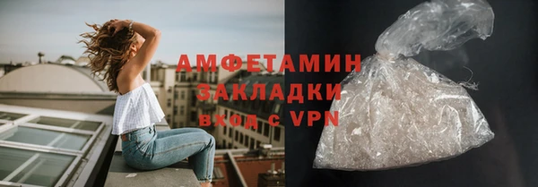 мет Алексин