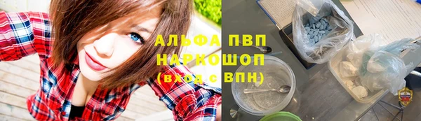 spice Алзамай